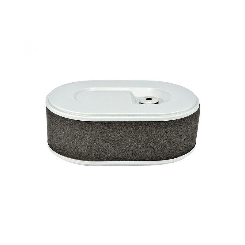 Rotary 11703 - Luchtfilter en voorfilter mtd vervanging mtd 937-05145