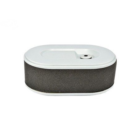 Rotary 11703 - Luchtfilter en voorfilter mtd vervanging mtd 937-05145