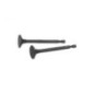 Rotary 8562 - B&S intake valve replaces B&S - 8562