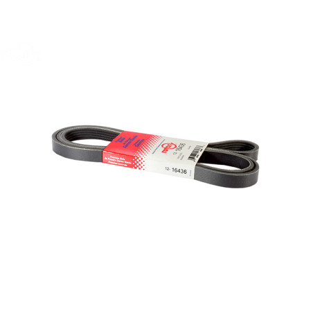 Rotary 16436 - Cinghia pompa idro 5-rib x 70-1/2' exmark sostituisce exmark