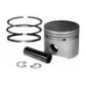 Rotary 6749 - Ensemble piston kohler (std) remplacement kohler 47-874-06s