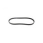Rotary 15856 - Cinghia di trasmissione ruote 1/4' x 58,25' exmark sostituisce exmark
