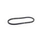 Rotary 8811 - Drive belt 1/2' x 36.12' bobcat replaces bobcat