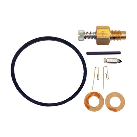 Kit de carburateur tecumseh remplacer tecumseh - convient à rotative