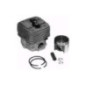 Rotary 7059 - Ensemble cylindre et piston stihl remplace stihl - 7059