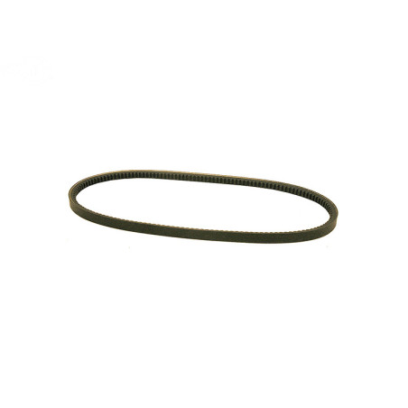 Rotary 16012 - Drive Belt 3/8' x 34-5/8' Toro replaces Toro