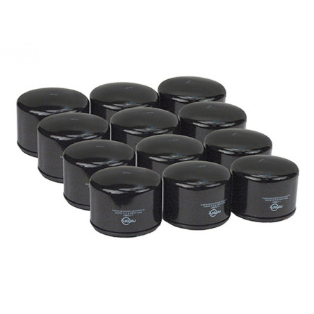 Rotary 12861 - Bulk oil filter (12 pcs. 6929) b&s replaces b&s
