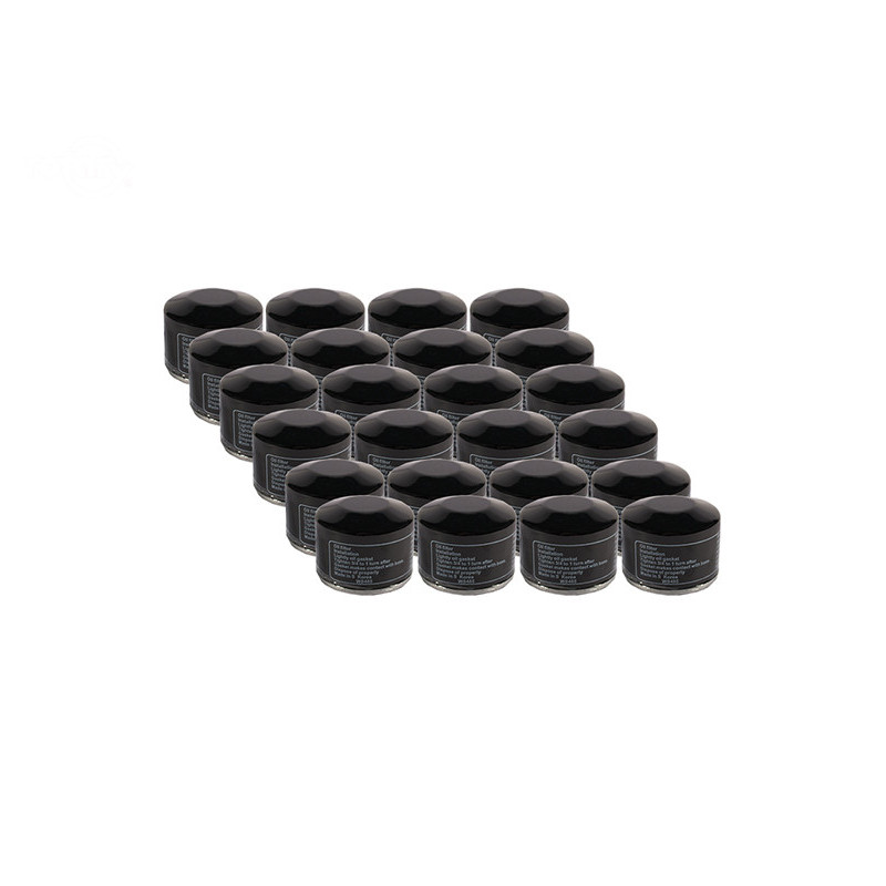 Rotary 15647 - Bulk oil filter (24 pcs. 6929) b&s replaces b&s