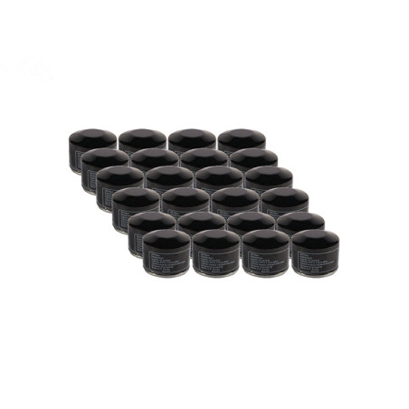 Rotary 15647 - Bulk oil filter (24 pcs. 6929) b&s replaces b&s