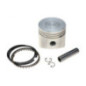 Rotary 6742 - Kohler piston ensemble +.010 remplace kohler 41-874-07s