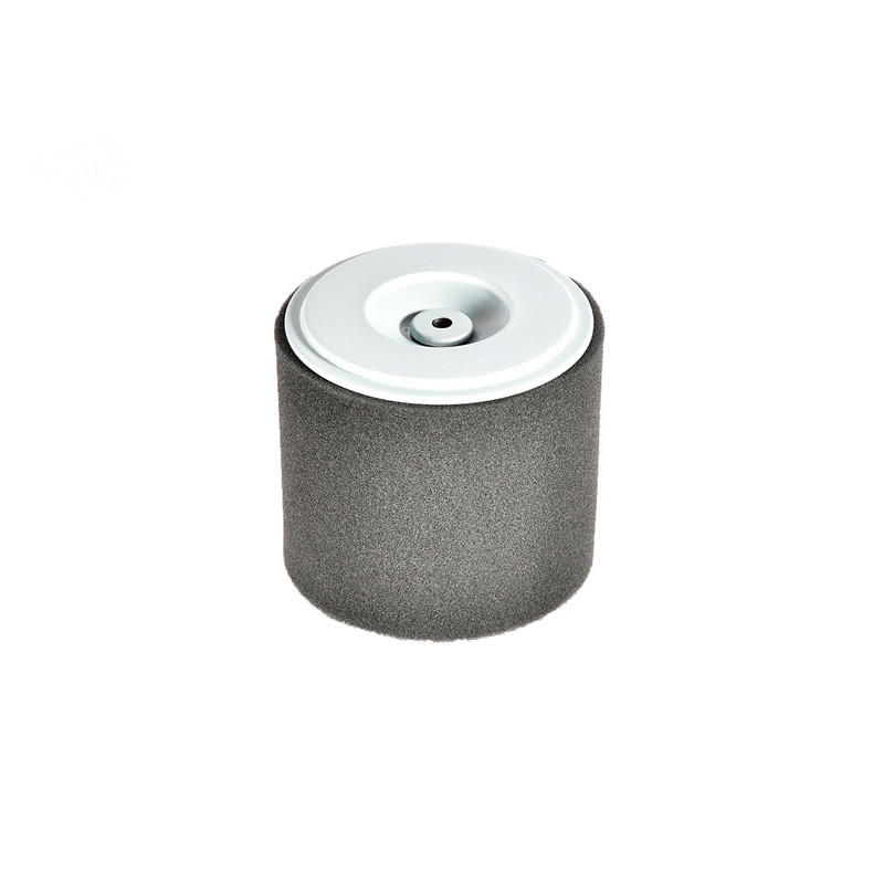 Rotary 11701 - Filtro de aire (cartucho) Honda reemplaza Honda - 11701