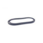 Rotary 15665 - Hydro drive belt 1/2' x 69' bobcat replaces bobcat