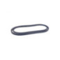 Rotary 17307 - Cinghia di trasmissione di trazione john deere sostituisce john deere