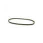 Rotary 15338 - Auger drive belt 1/2' x 36.97' mtd replaces mtd