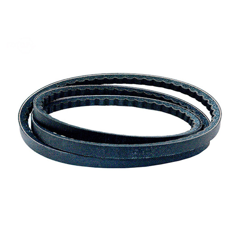 Rotary 14319 - Pompaandrijfriem 1/2' x 75-3/8' toro vervangt toro