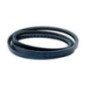 Rotary 14319 - Pompaandrijfriem 1/2' x 75-3/8' toro vervangt toro