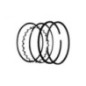 Rotary 6799 - Kohler jeu de segments de piston +.010 remplace kohler 235288s