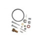 Rotary 10947 - Kit de révision du carburateur tecumseh remplace tecumseh - 10947
