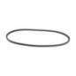Rotary 14810 - Cinghia di trasmissione 1/2' x 58' toro sostituisce toro/exmark