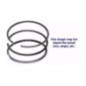 Rotary 2472 - Kohler set di fasce elastiche cromate per pistone sostituisce kohler - 2472