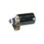 Rotary 9798 - Motor de arranque elétrico b&s - heavy duty - substitui b&s - 9798
