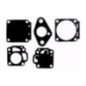 Rotary 6893 - Carburateur kit - 6893