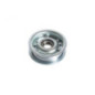 Rotary 13782 - Flat tension pulley replaces castle garden