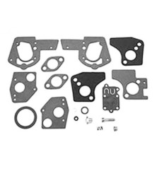 Rotary 11140 - Kit de révision de carburateur b&s remplacement b&s 495606