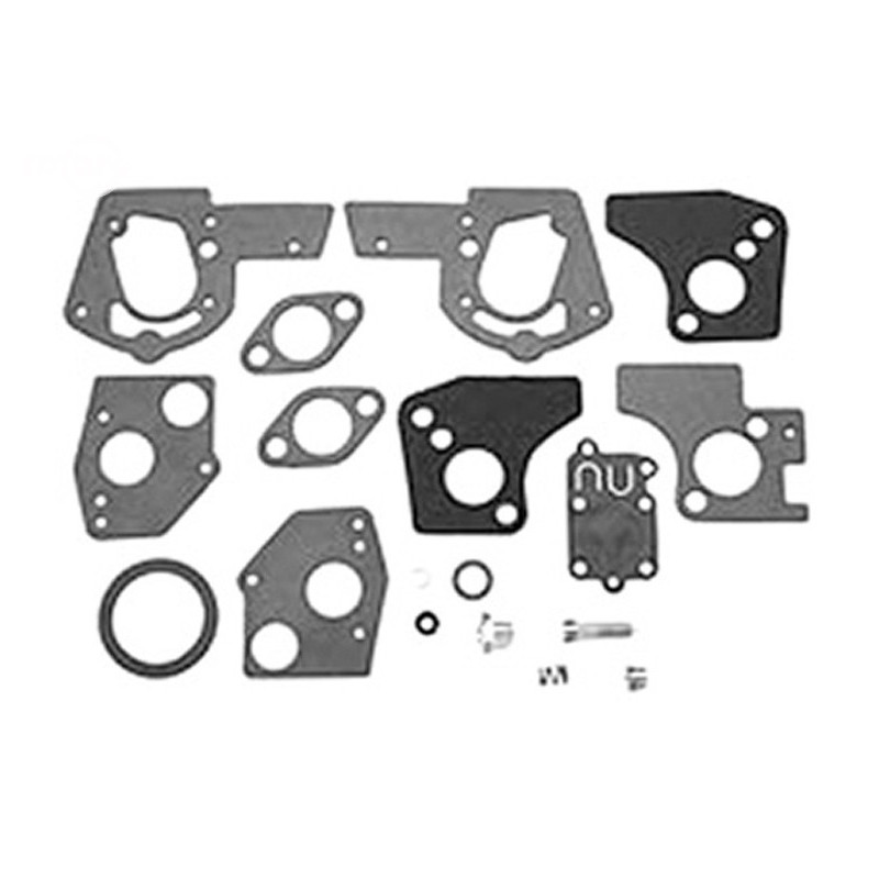 Rotary 11140 - Kit de révision de carburateur b&s remplacement b&s 495606