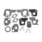 Rotary 11140 - Kit de révision de carburateur b&s remplacement b&s 495606