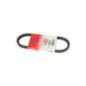 Rotary 16288 - Aandrijfriem 1/2' x 21-41/64' toro vervangt toro
