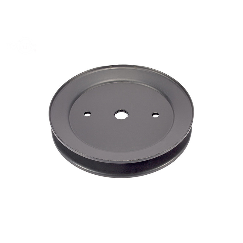 Rotary 12378 - Spilpoelie ayp vervangt 195945