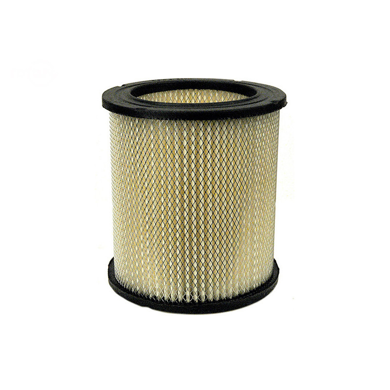 Rotary 6849 - Luchtfilter (papier) tecumseh vervangt tecumseh - 6849