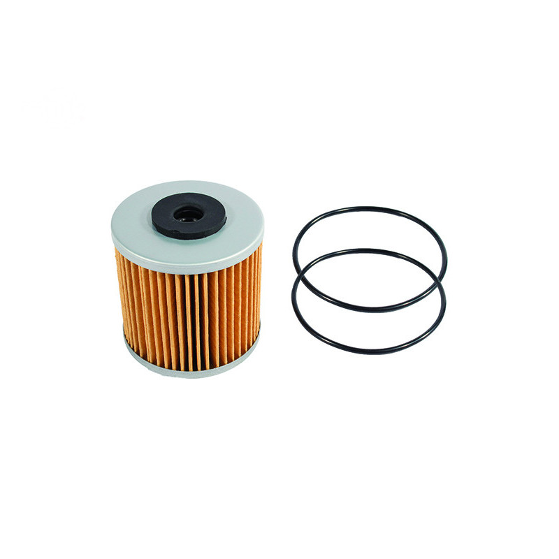 Rotary 16018 - Getriebeölfilter-Kit ersetzt das Hydrogetriebe