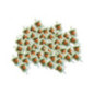 Rotary 12951 - Hoofdvulkarton b&s 493629 brandstoffilter