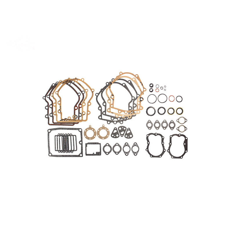 Rotary 15655 - Jeu de joints b&s remplace briggs & stratton