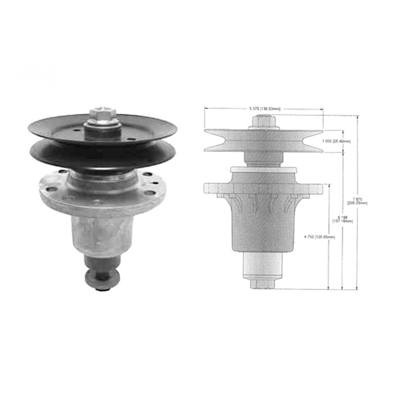 Rotary 13003 - Rolamento da lâmina Exmark substitui Exmark - 13003