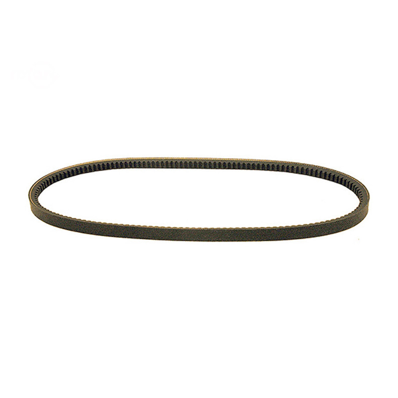 Rotary 14731 - Cinghia trapezoidale 1/2' x 75-3/8' toro sostituisce toro