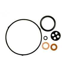 Rotary 14272 - Kit carburador honda substitui honda