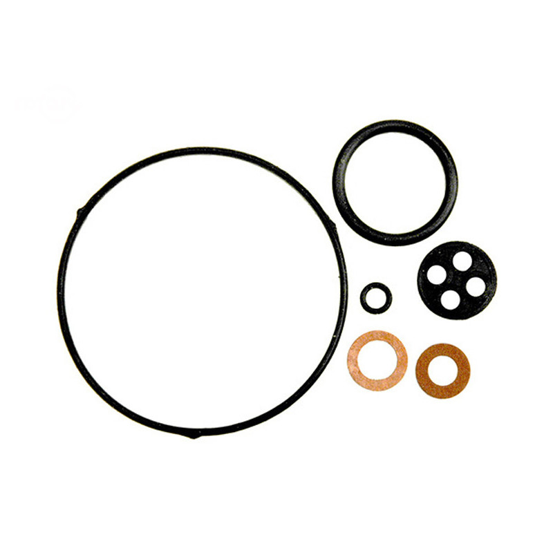 Rotary 14272 - Honda Vergaser-Kit ersetzt Honda