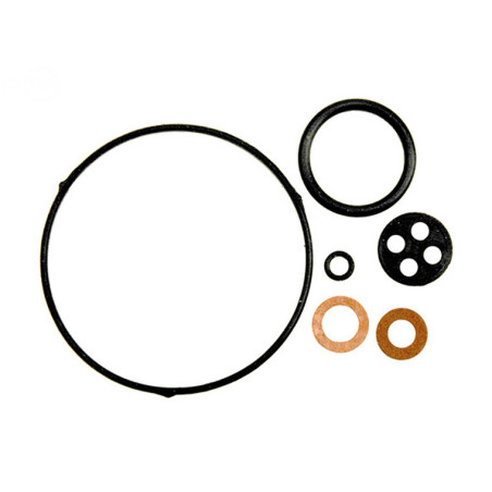 Rotary 14272 - Kit carburador honda substitui honda