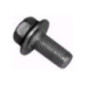 Rotary 8640 - Mesbout m10 x 1.25 vervangt honda