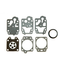 Rotary 13415 - Kit de joints et membranes remplace walbro