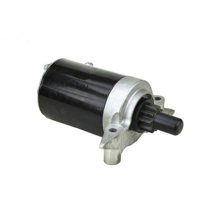 Rotary 14511 - Tecumseh Elektrostarter ersetzt Tecumseh - 14511