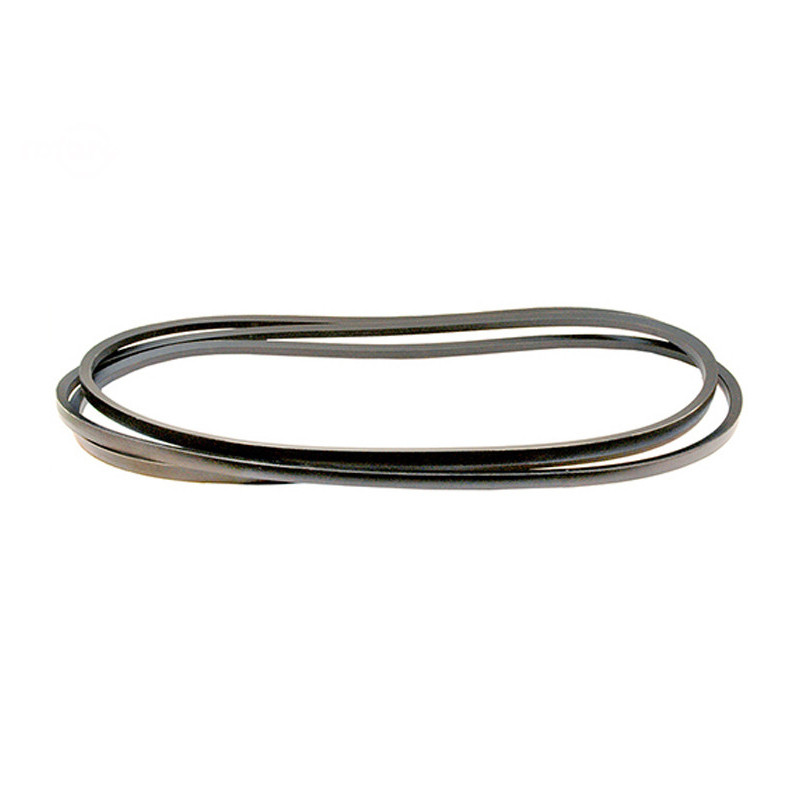 Rotary 14756 - Cinghia del ponte 5/8' x 185' toro sostituisce toro