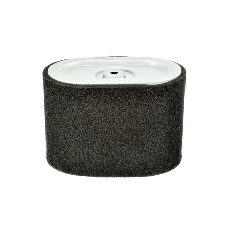 Rotary 11955 - Filtro de aire y prefiltro b&s reemplaza b&s - 11955