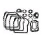 Rotary 1469 - Jeu de joints b&s 2 & 3hp horiz. remplace b&s