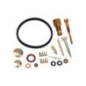 Rotary 10103 - Kit carburateur tecumseh remplace tecumseh