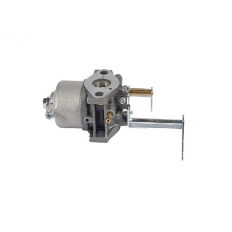 Rotary 15609 - Carburateur toro remplace toro 119-1977
