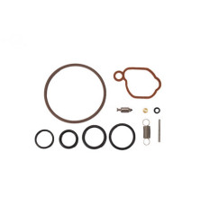 Rotary 15511 - Kit revisão carburador b&s substitui b&s - 15511